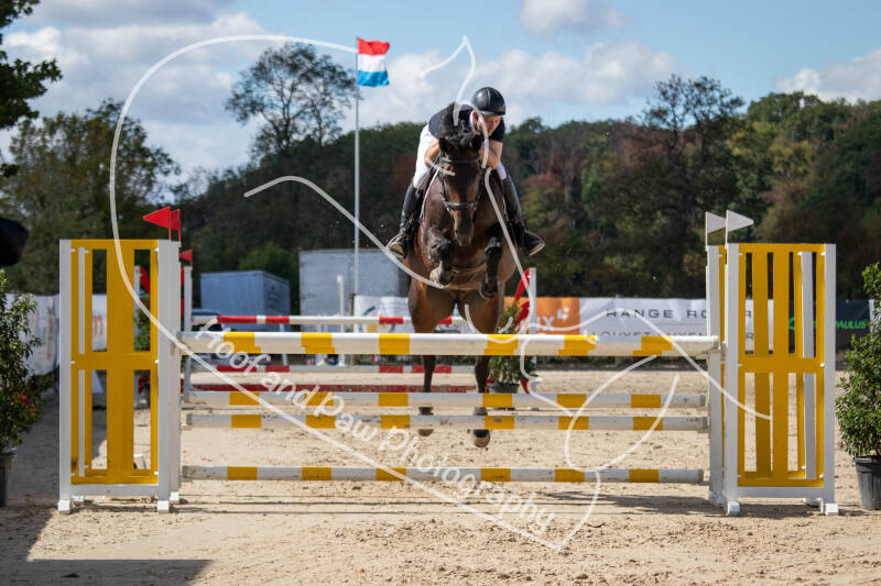 bouferterhaff-jumping-47-standard.jpg