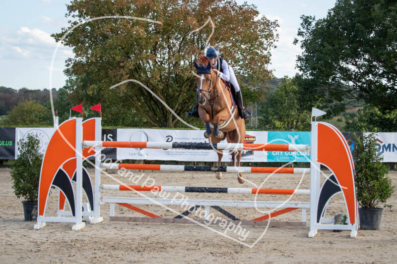 bouferterhaff-jumping-48-standard-3wtdvv.jpg