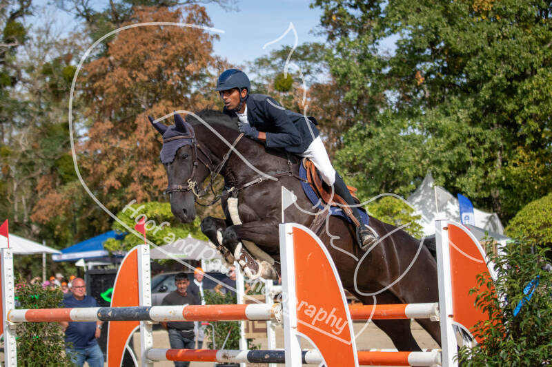 bouferterhaff-jumping-48-standard-4ilne9.jpg