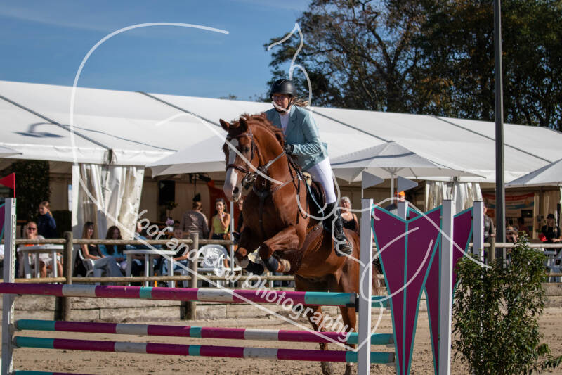 bouferterhaff-jumping-48-standard-5npu37.jpg