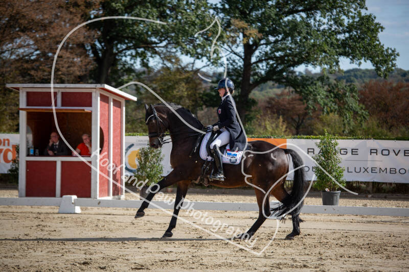 bouferterhaff-jumping-48-standard-5v7s0a.jpg