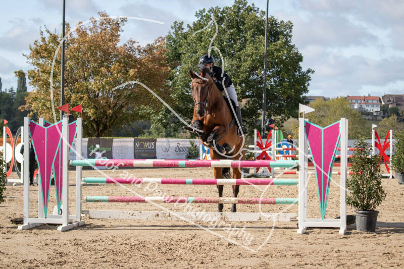 bouferterhaff-jumping-48-standard-893k03.jpg