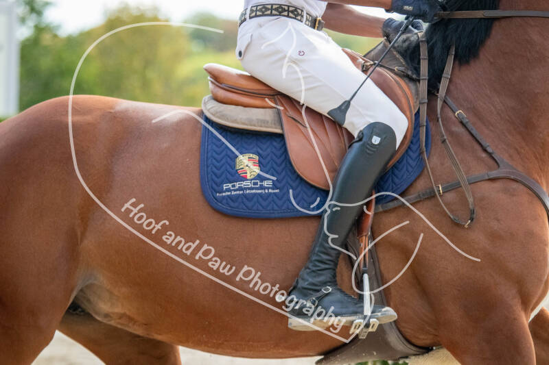 bouferterhaff-jumping-48-standard-99u219.jpg
