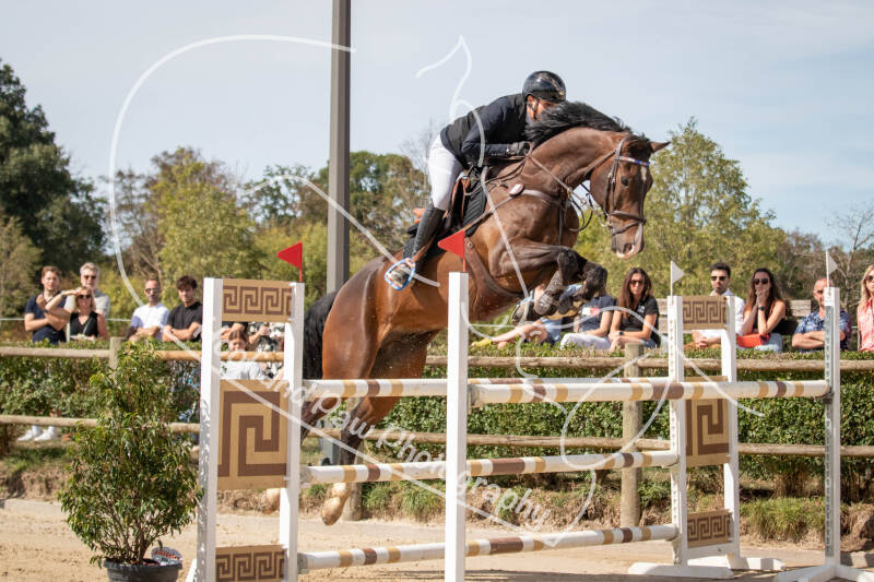 bouferterhaff-jumping-48-standard-ebwpn8.jpg