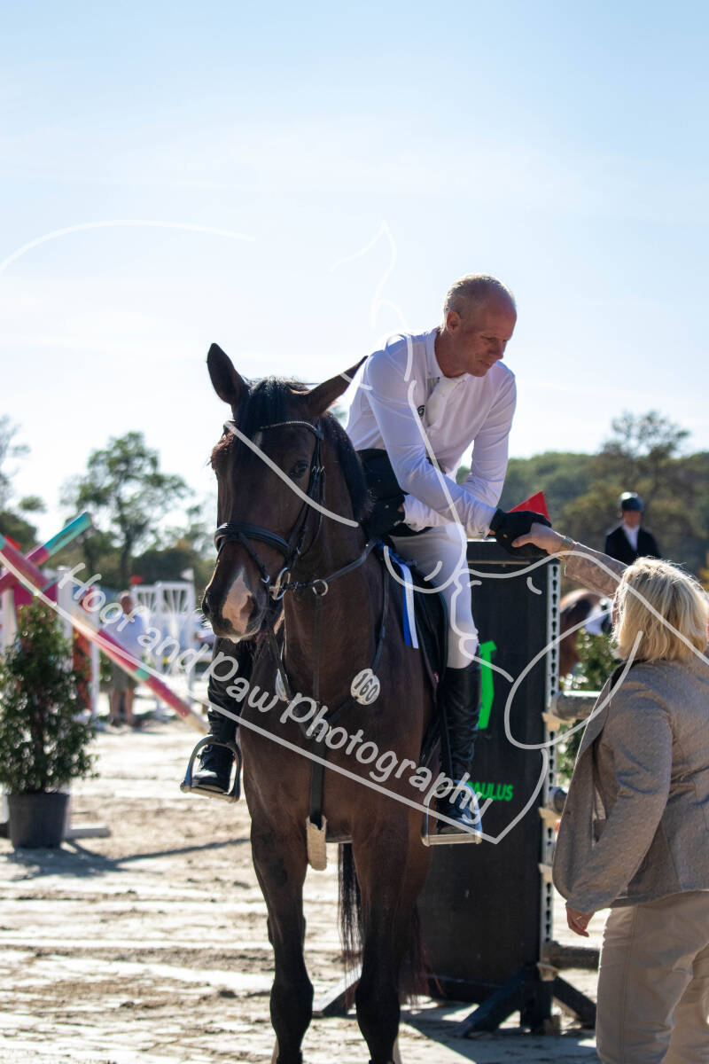 bouferterhaff-jumping-48-standard-fvwarj.jpg
