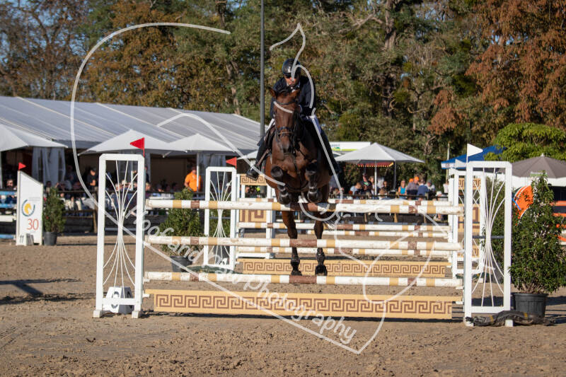 bouferterhaff-jumping-48-standard-gr5vak.jpg