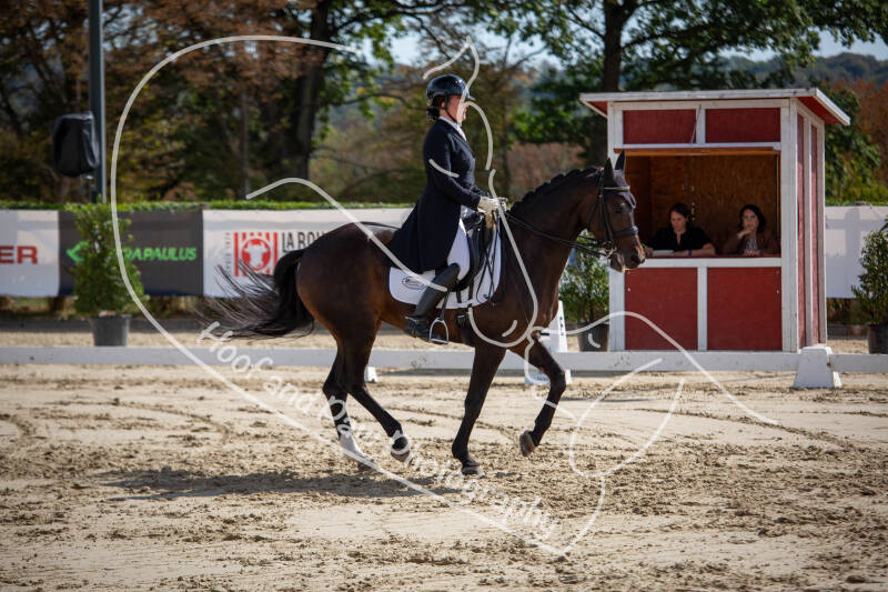 bouferterhaff-jumping-48-standard-ogeljw.jpg