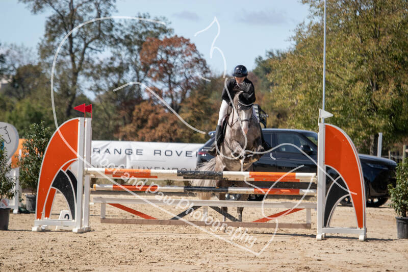 bouferterhaff-jumping-48-standard-onx6s2.jpg