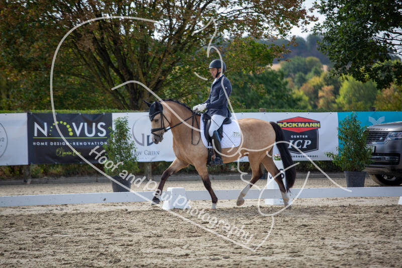 bouferterhaff-jumping-48-standard-pv99zn.jpg