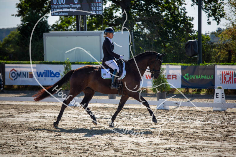 bouferterhaff-jumping-48-standard-wx957m.jpg