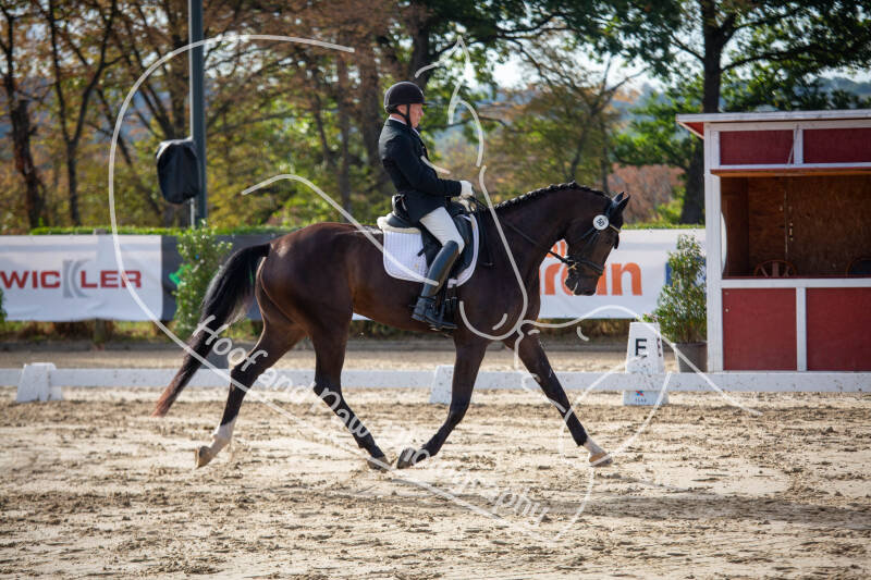 bouferterhaff-jumping-48-standard-x9c3ih.jpg