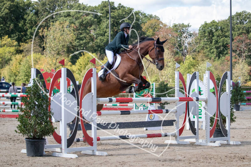 bouferterhaff-jumping-48-standard.jpg