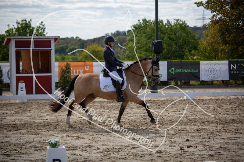 bouferterhaff-jumping-49-standard-8nwvhj.jpg