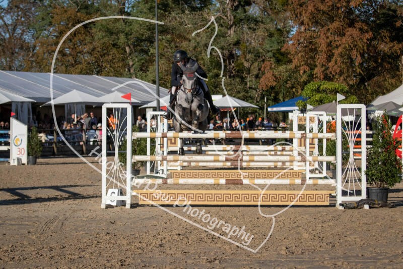 bouferterhaff-jumping-49-standard-b46asl.jpg