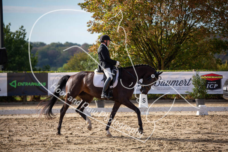 bouferterhaff-jumping-49-standard-emna9n.jpg