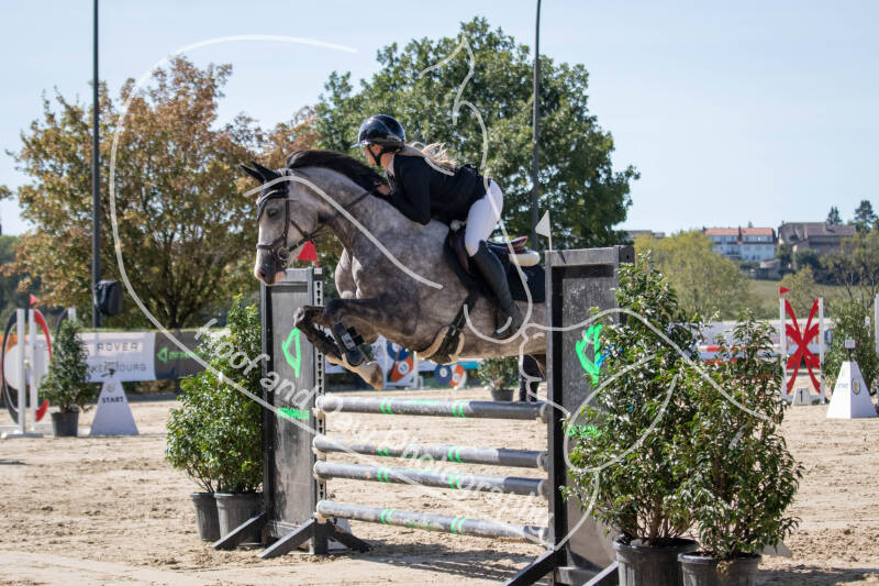 bouferterhaff-jumping-49-standard-hzmrip.jpg