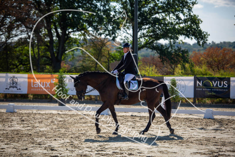 bouferterhaff-jumping-49-standard-k8v4sj.jpg