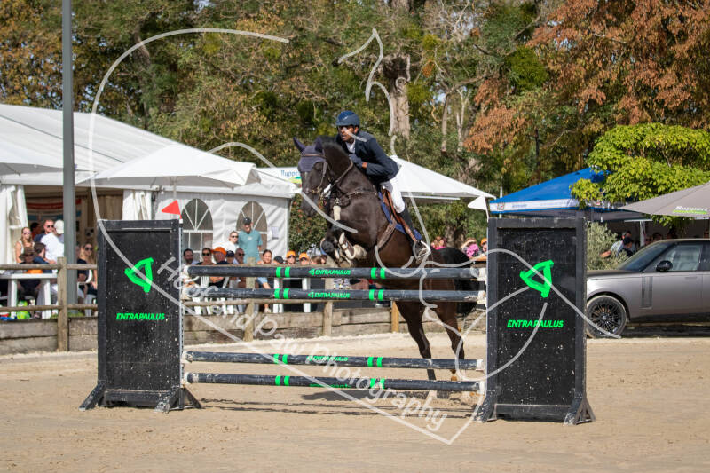 bouferterhaff-jumping-49-standard-muvb80.jpg