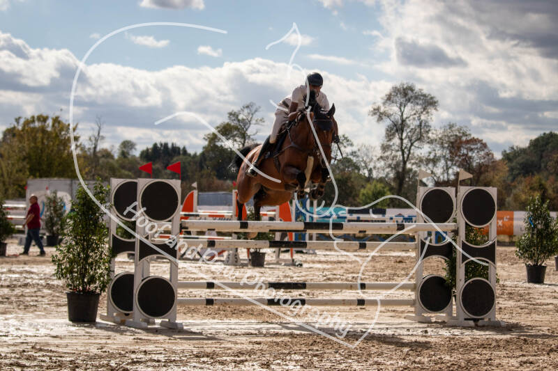 bouferterhaff-jumping-49-standard-qc8p0f.jpg