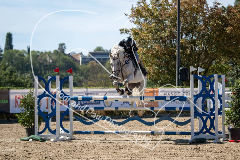 bouferterhaff-jumping-49-standard-r3055r.jpg