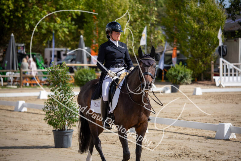 bouferterhaff-jumping-49-standard-t2ushq.jpg