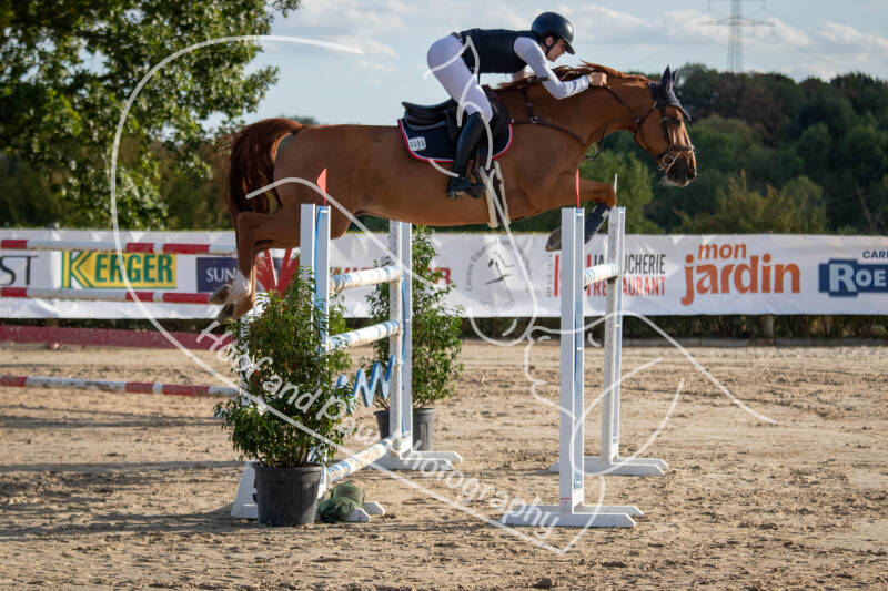bouferterhaff-jumping-49-standard-to8c90.jpg