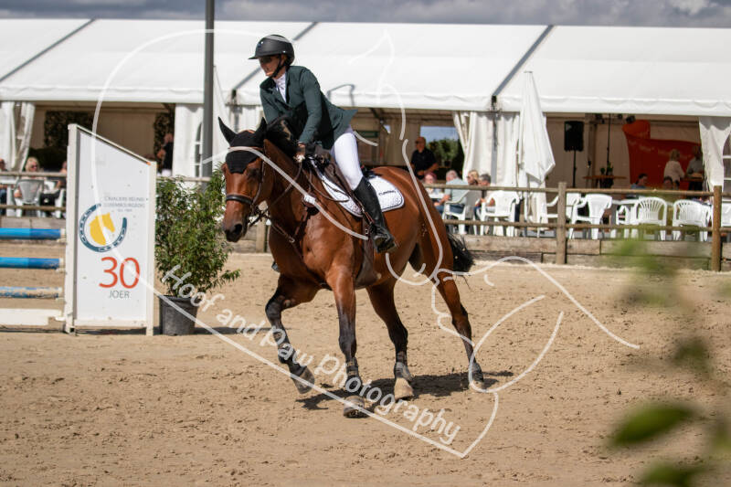 bouferterhaff-jumping-49-standard.jpg