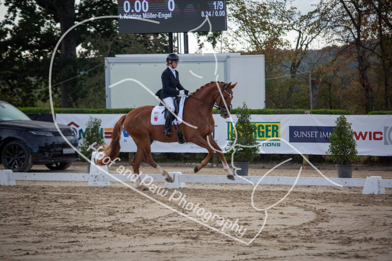 bouferterhaff-jumping-5-standard-56koo8.jpg