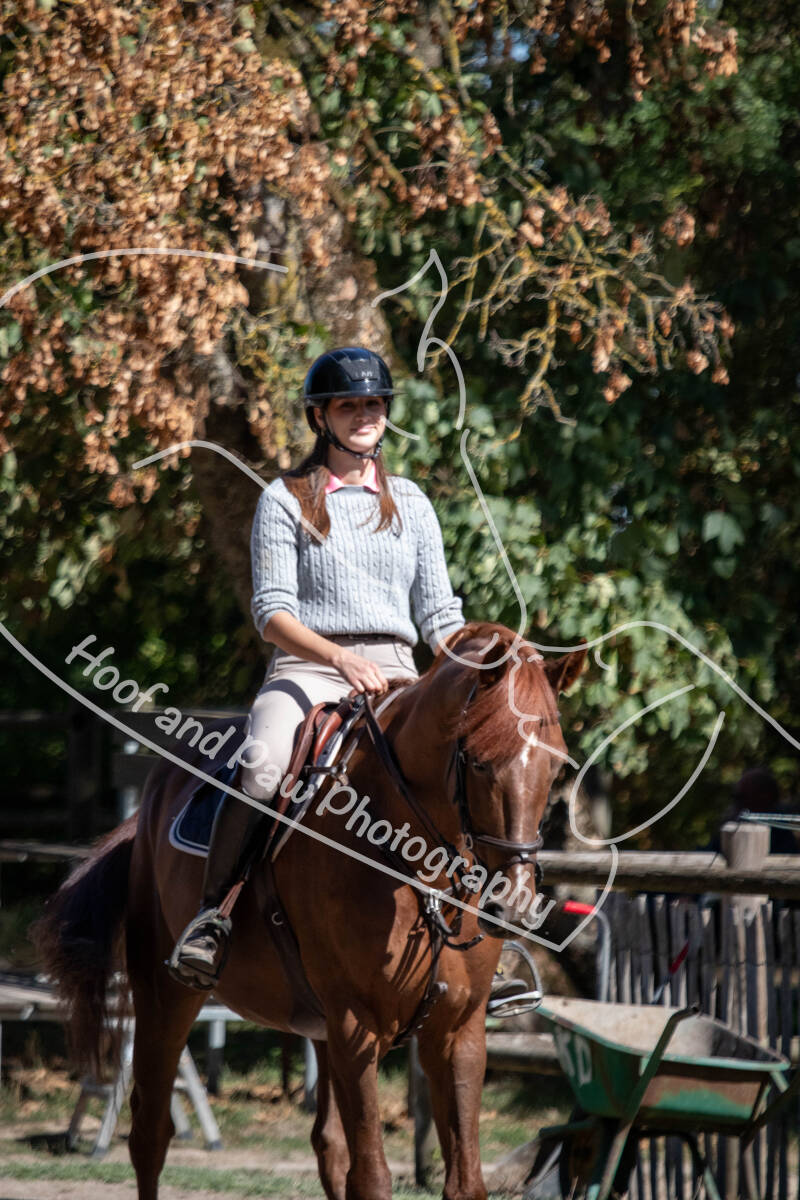 bouferterhaff-jumping-5-standard-82jrc1.jpg