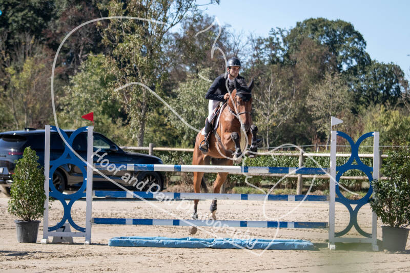 bouferterhaff-jumping-5-standard-8u8buw.jpg
