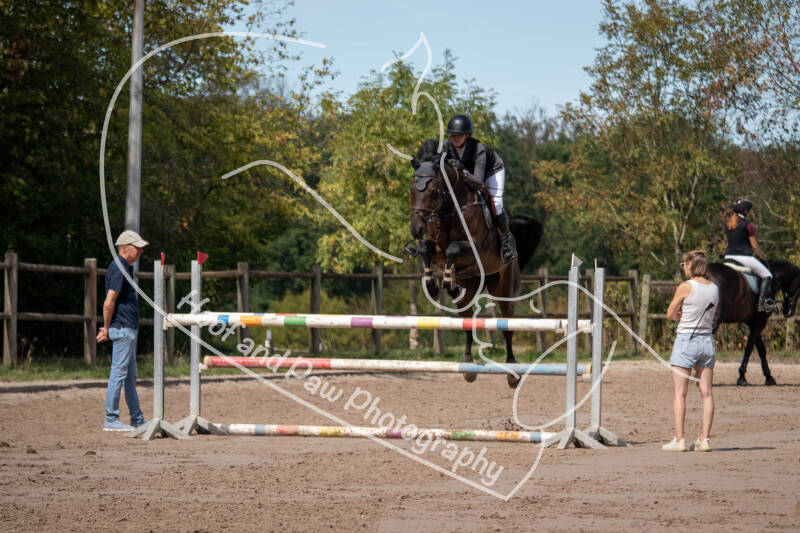 bouferterhaff-jumping-5-standard-dse1gl.jpg