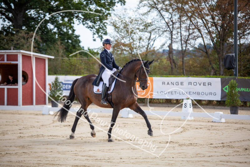 bouferterhaff-jumping-5-standard-kk1j99.jpg