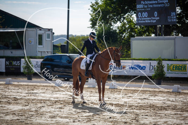 bouferterhaff-jumping-5-standard-mzbo1r.jpg