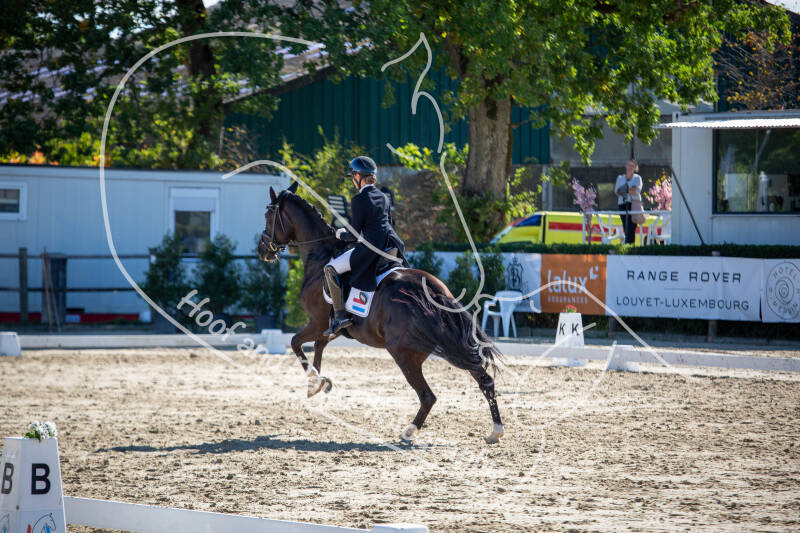 bouferterhaff-jumping-5-standard-netf88.jpg