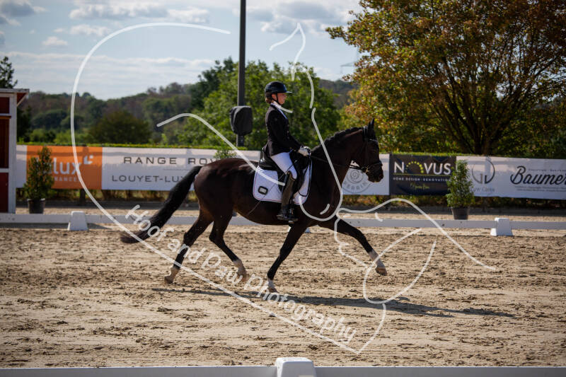 bouferterhaff-jumping-5-standard-nppmav.jpg