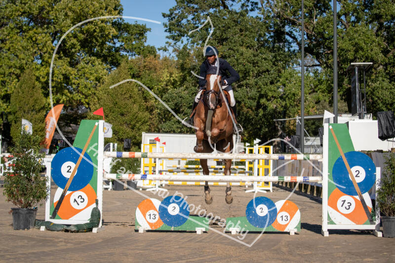 bouferterhaff-jumping-5-standard-swa16p.jpg