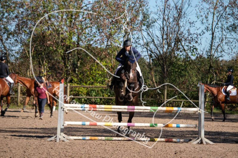 bouferterhaff-jumping-5-standard-szbifc.jpg