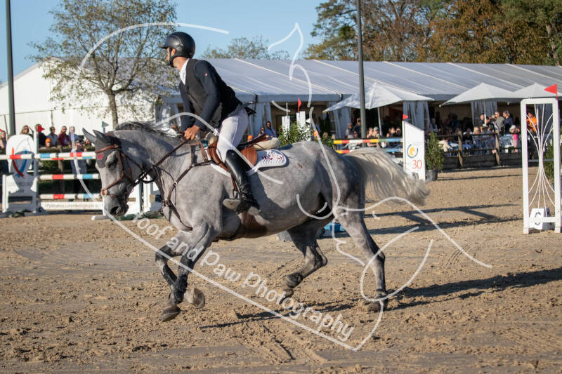 bouferterhaff-jumping-50-standard-1zpxkt.jpg