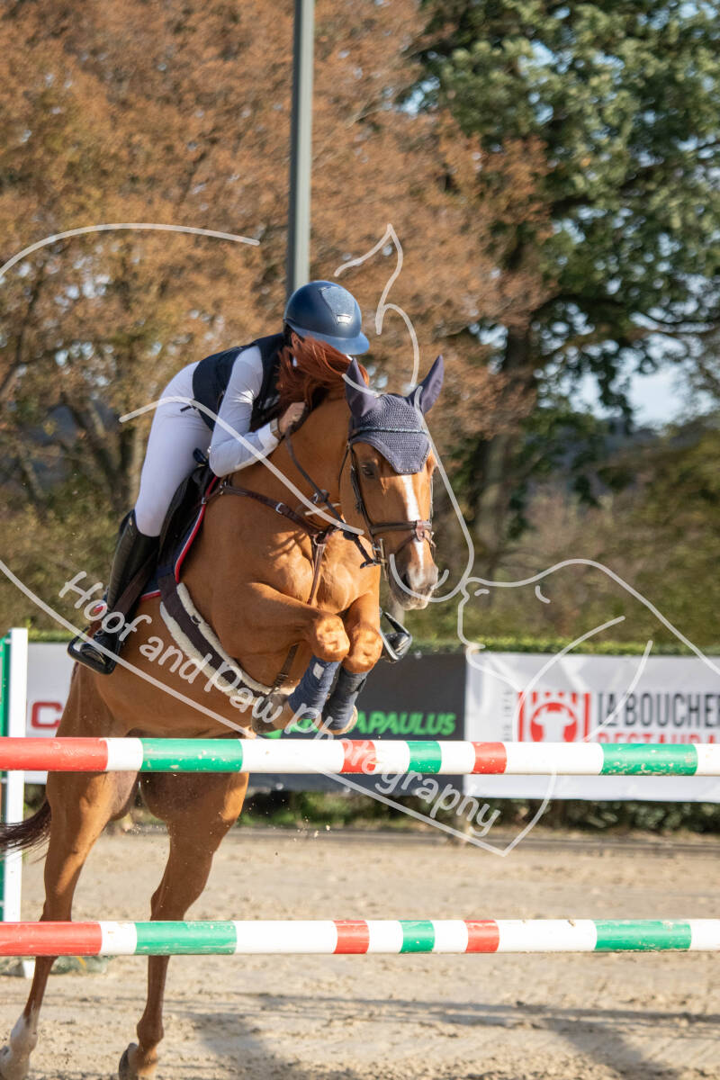 bouferterhaff-jumping-50-standard-6p8yez.jpg