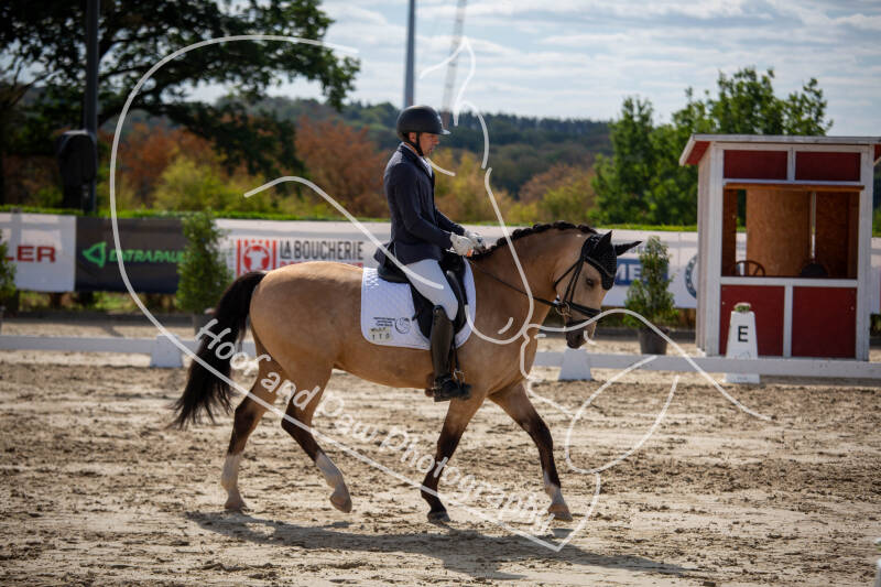 bouferterhaff-jumping-50-standard-810sho.jpg