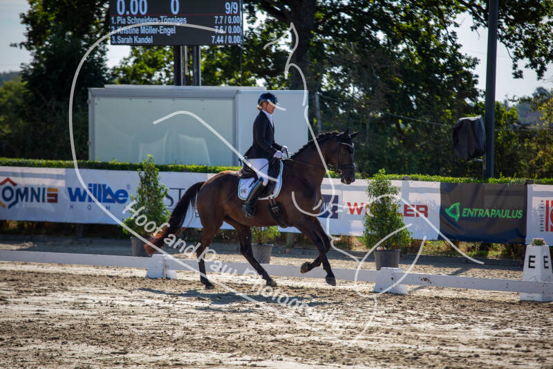 bouferterhaff-jumping-50-standard-925vwa.jpg