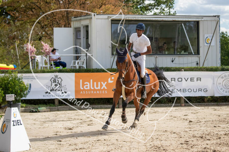 bouferterhaff-jumping-50-standard-k6xi5m.jpg