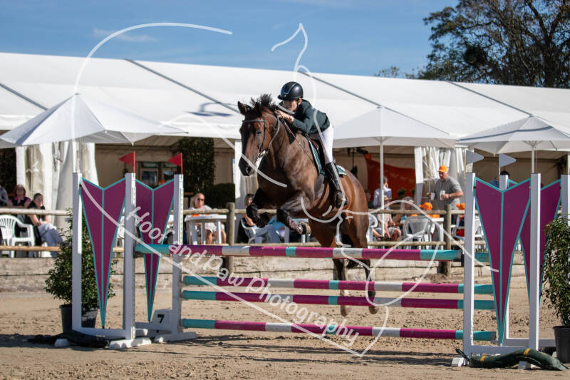 bouferterhaff-jumping-50-standard-kmr5bp.jpg