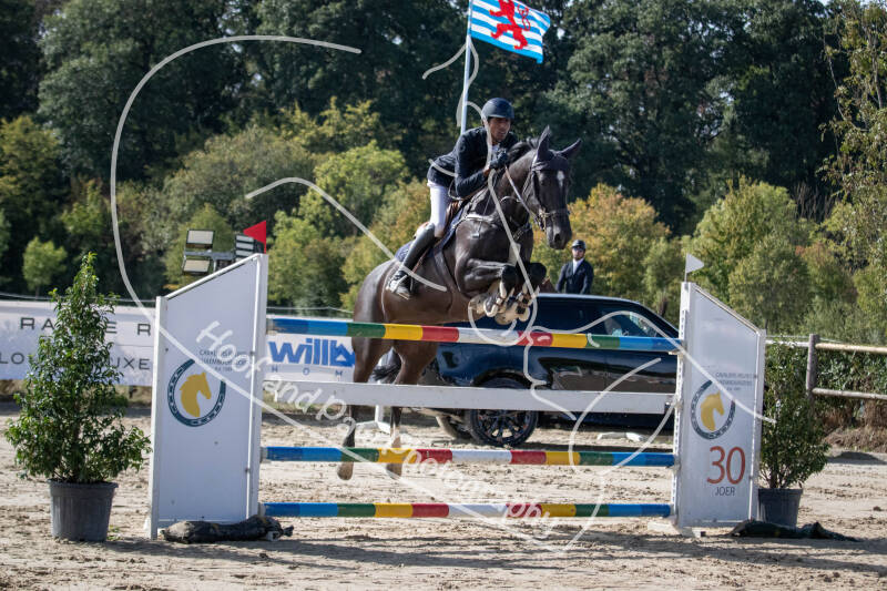 bouferterhaff-jumping-50-standard-l1w1qd.jpg