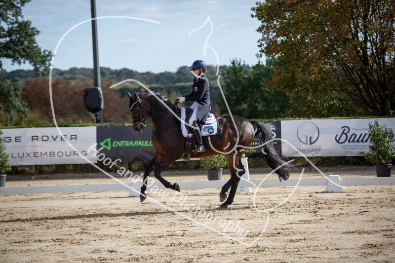 bouferterhaff-jumping-50-standard-qfidx7.jpg