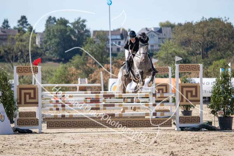 bouferterhaff-jumping-50-standard-ubhj8x.jpg