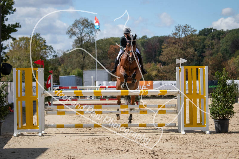 bouferterhaff-jumping-50-standard.jpg