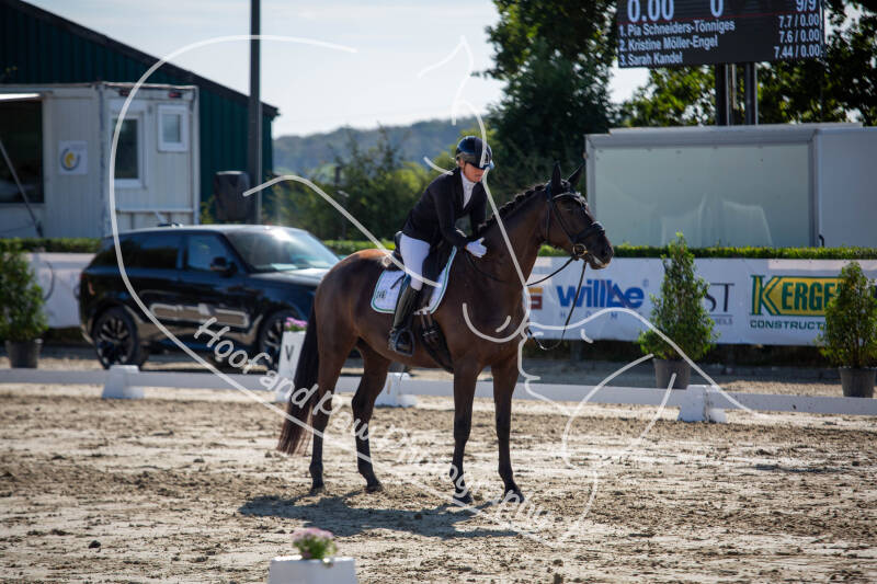 bouferterhaff-jumping-51-standard-38e36d.jpg