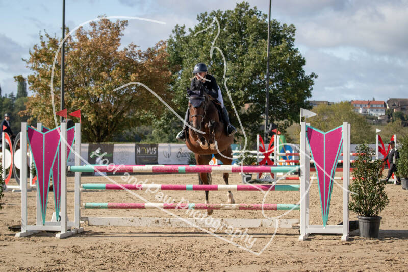 bouferterhaff-jumping-51-standard-762tvb.jpg