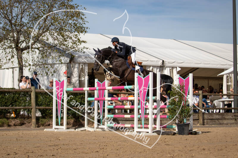 bouferterhaff-jumping-51-standard-7h9wrg.jpg